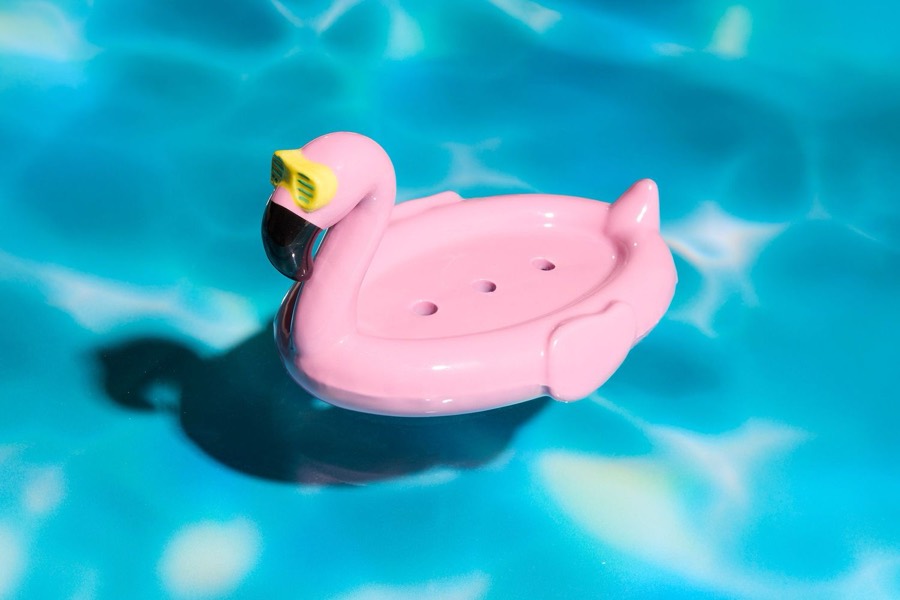 Flamingo studio test shoot